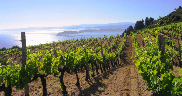 Vino de Ática - Stamata | Secret World Trip Planner