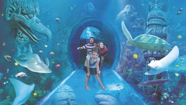 Acquario SEA LIFE Orlando — Orlando