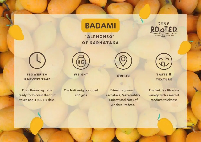 Badami l'Alfons de Karnataka - Badami | Secret World Trip Planner