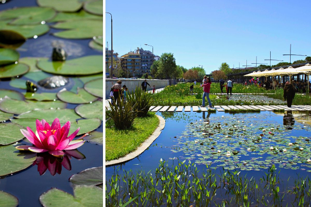 Grădina de apă: O oază de liniște în inima Salonicului - Thessaloniki | Secret World Trip Planner