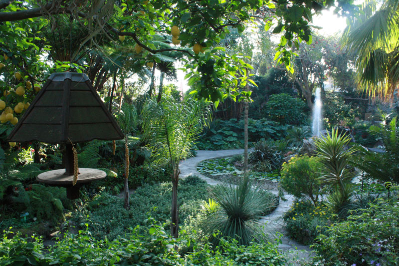 Ischia und die Gärten von La Mortella - Forio | Secret World Trip Planner