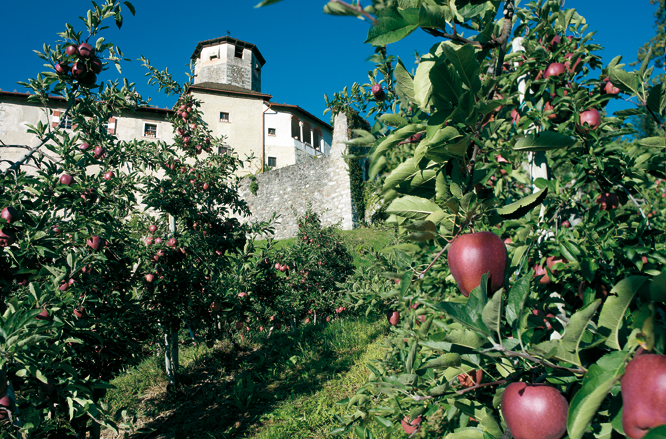 De appelboomgaarden van Val di Non - Val di Non | Secret World Trip Planner