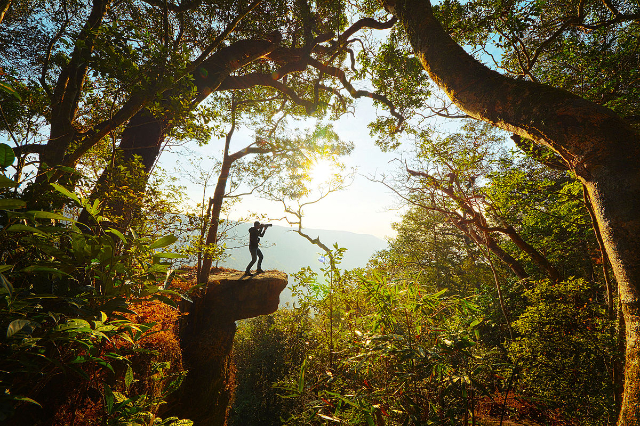 खाओ याई राष्ट्रीय उद्यान - Provincia di Nakhon Ratchasima | Secret World Trip Planner