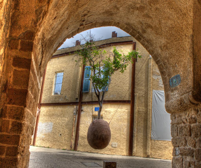 Riputatud apelsinipuu - Tel Aviv-Yafo | Secret World Trip Planner