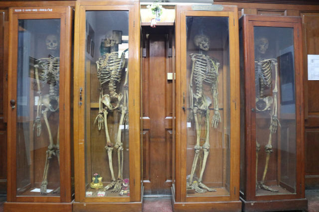 سریراج میڈیکل میوزیم بنکاک، تھائی لینڈ - Bangkok | Secret World Trip Planner