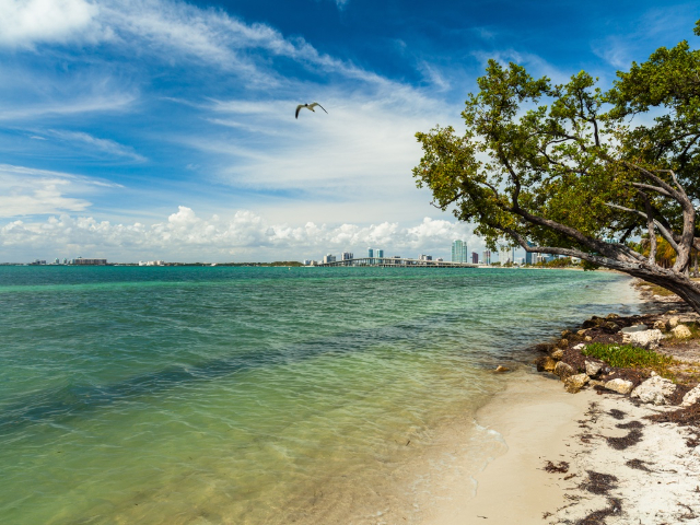 Virxhinia Key Beach Park - Florida | Secret World Trip Planner