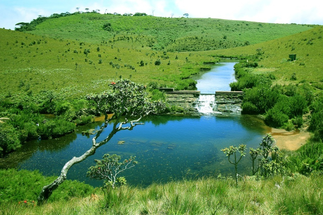 Parque Nacional de Horton Plains | Secret World Trip Planner