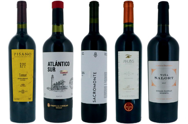 Enjoy a good Wine! - Montevideo Department | Secret World Trip Planner
