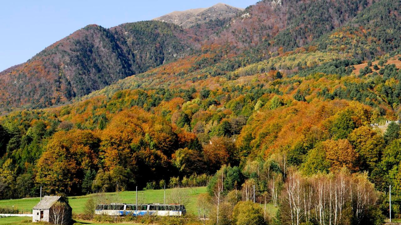 સેન્ટોવલ્લી રેલ્વે સાથે પર્ણસમૂહ - Domodossola | Secret World Trip Planner