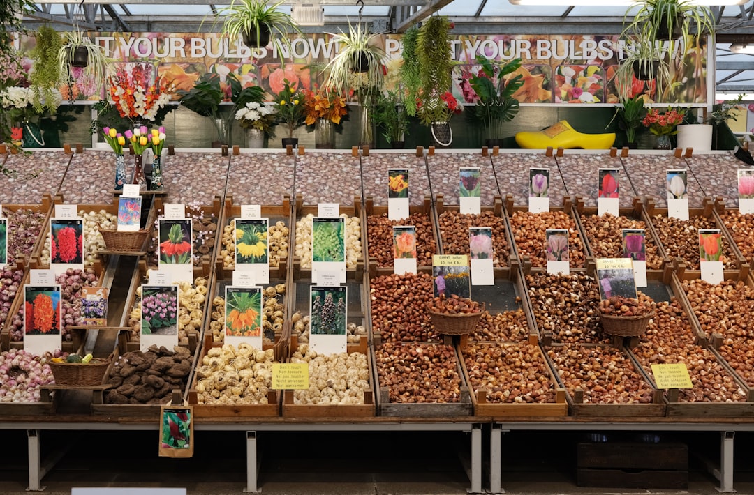 The Amsterdam Flower Market - Amsterdam | Secret World Trip Planner