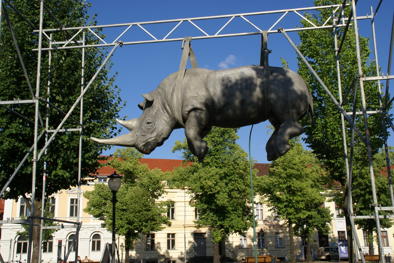 Rinocer suspendat - Potsdam | Secret World Trip Planner