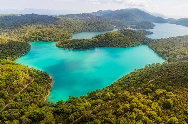 L'arte senza tempo della caccia Un viaggio nel cuore della natura in Croazia - 23445 | Secret World Trip Planner