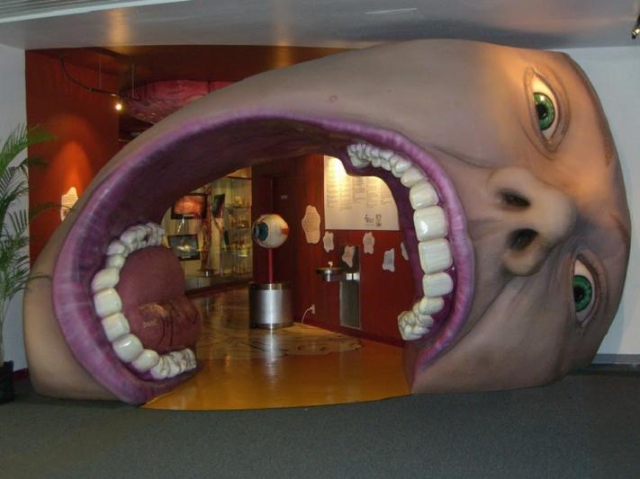 Explore el fascinante mundo del cuerpo humano en el Museo Corpus - Oegstgeest | Secret World Trip Planner