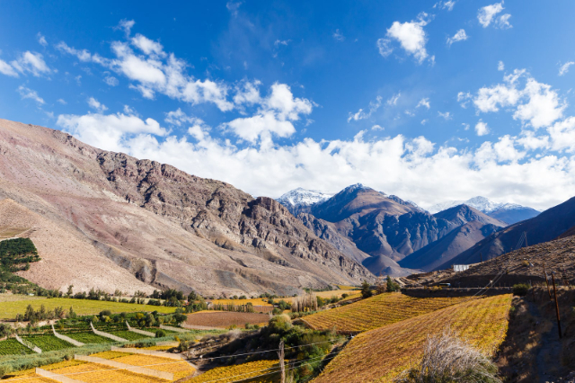 Vallée d'Elqui — Vicuña