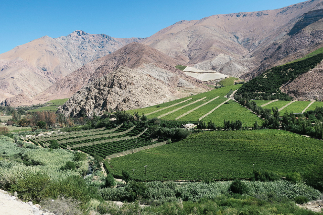 Vallée d'Elqui - Vicuña | Secret World Trip Planner