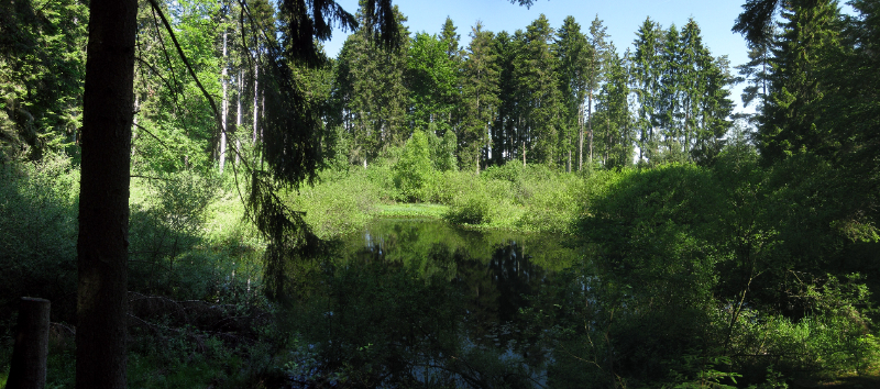 Lago senza fondo — Empfingen