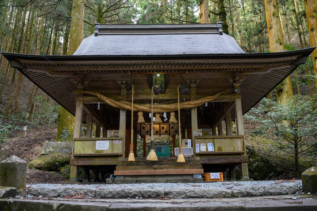 Il Sumiyoshi Taisha di Osaka è uno dei più antichi santuari del Giappone - Kita, Osaka | Secret World Trip Planner