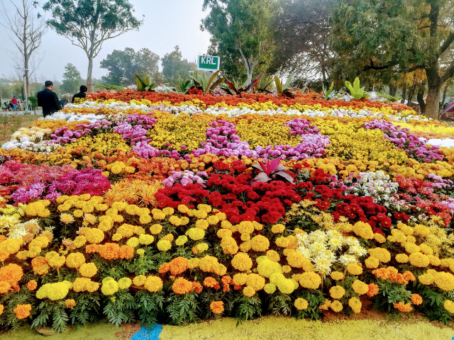 Le jardin de roses et de jasmin - Islamabad | Secret World Trip Planner