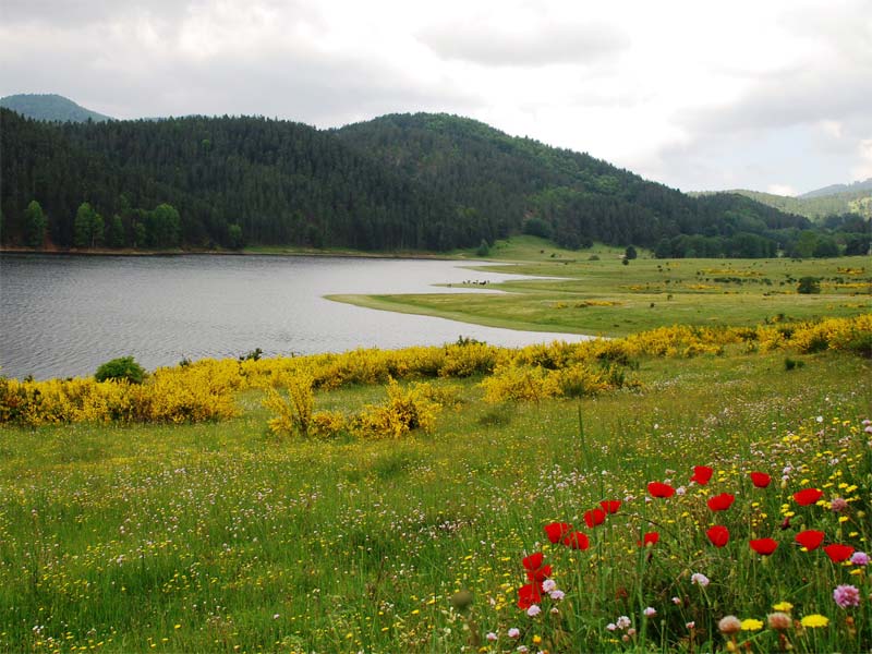 Lake Ampollino - Lago Ampollino | Secret World Trip Planner