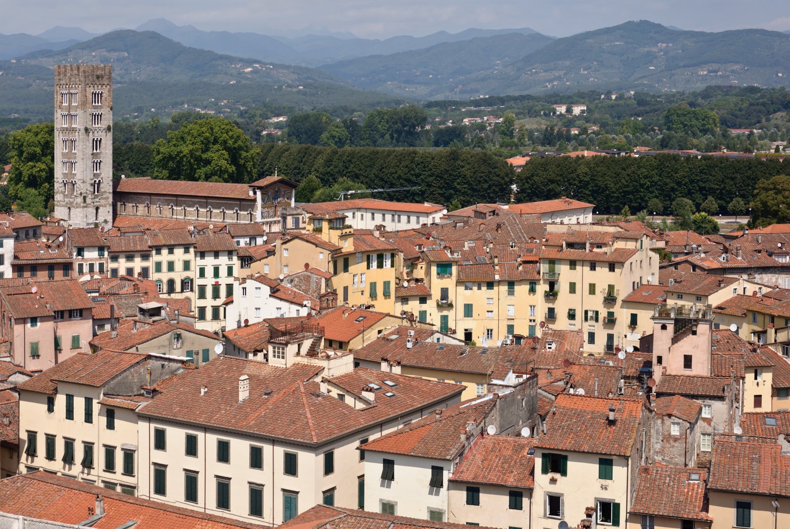 Lucca y sus Torres: Torre Guinigi - Lucca | Secret World Trip Planner