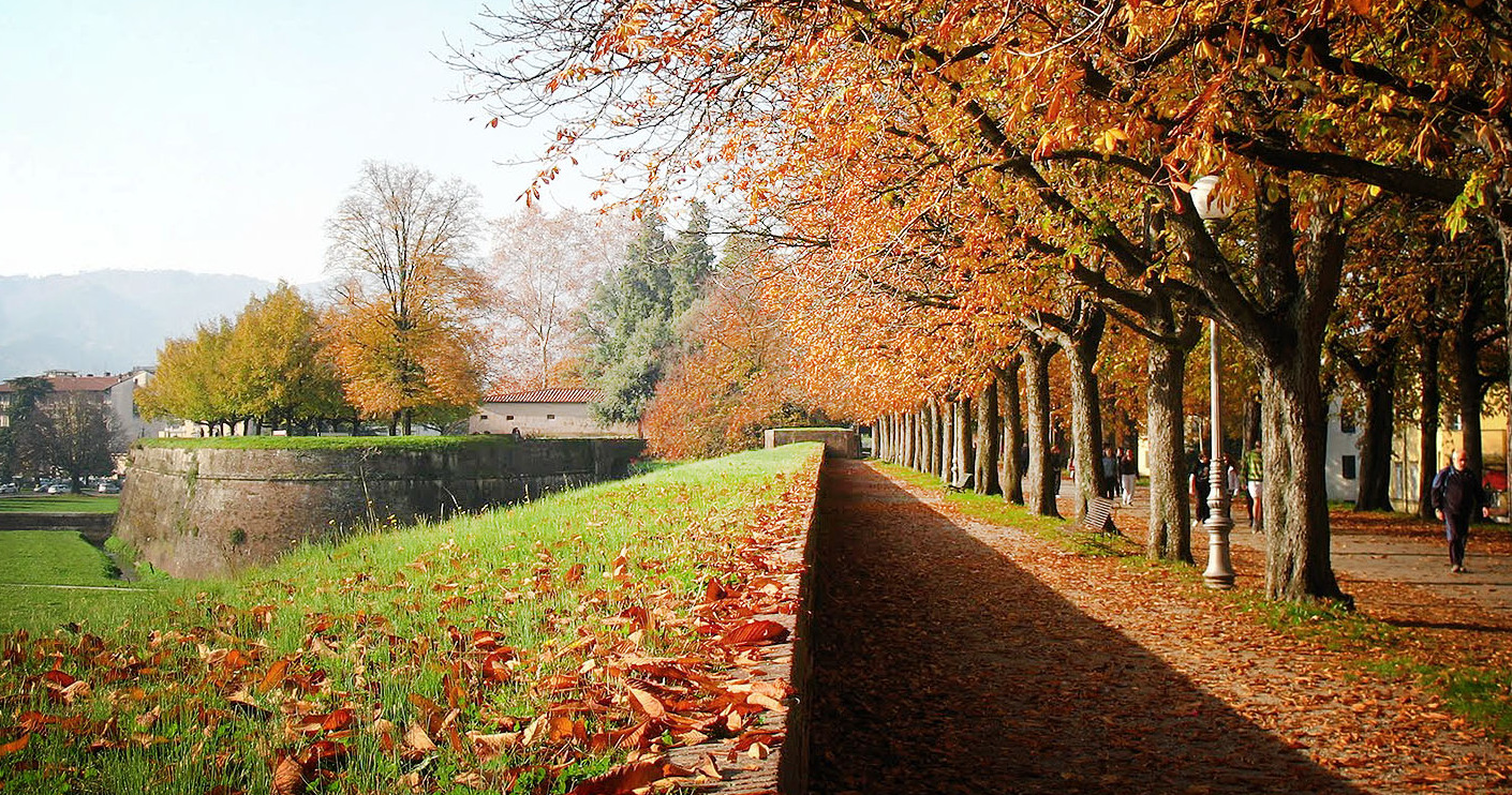 Las maravillosas murallas de Lucca - Lucca | Secret World Trip Planner