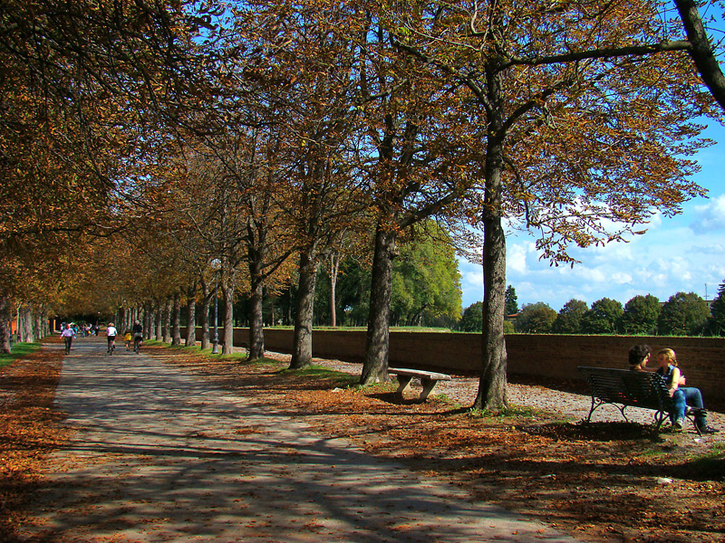 Las maravillosas murallas de Lucca - Lucca | Secret World Trip Planner