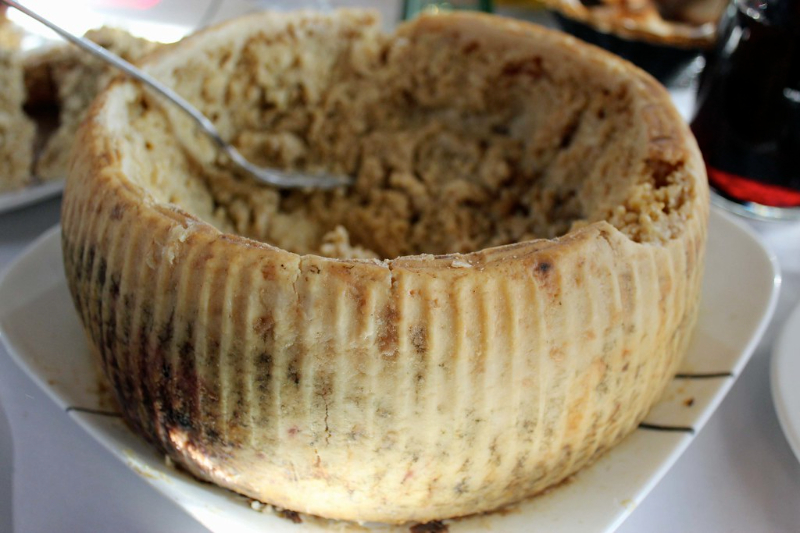 Casu Marzu - Italie - Sardegna | Secret World Trip Planner