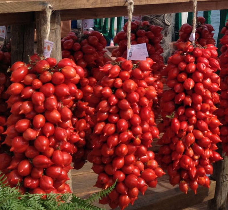 Tomates piennolo del Vesubio - Somma Vesuviana | Secret World Trip Planner