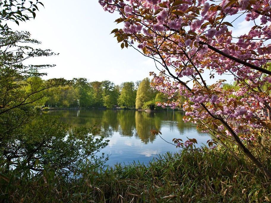Sauvabelin Park v Luzern - Losanna | Secret World Trip Planner
