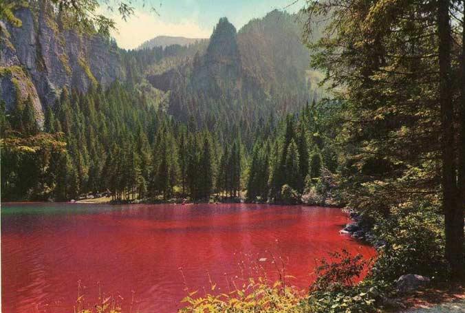 トベル湖 - Lago di Tovel | Secret World Trip Planner
