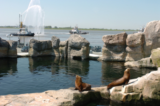 Zoo en bord de mer - Bremerhaven | Secret World Trip Planner