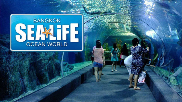 Sea Life Μπανγκόκ Ocean World - Khet Pathum Wan | Secret World Trip Planner