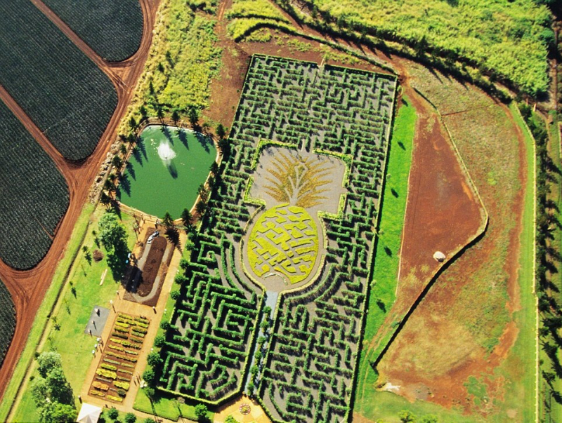 Dole Plantation Maze, ჰავაი - Wahiawa | Secret World Trip Planner