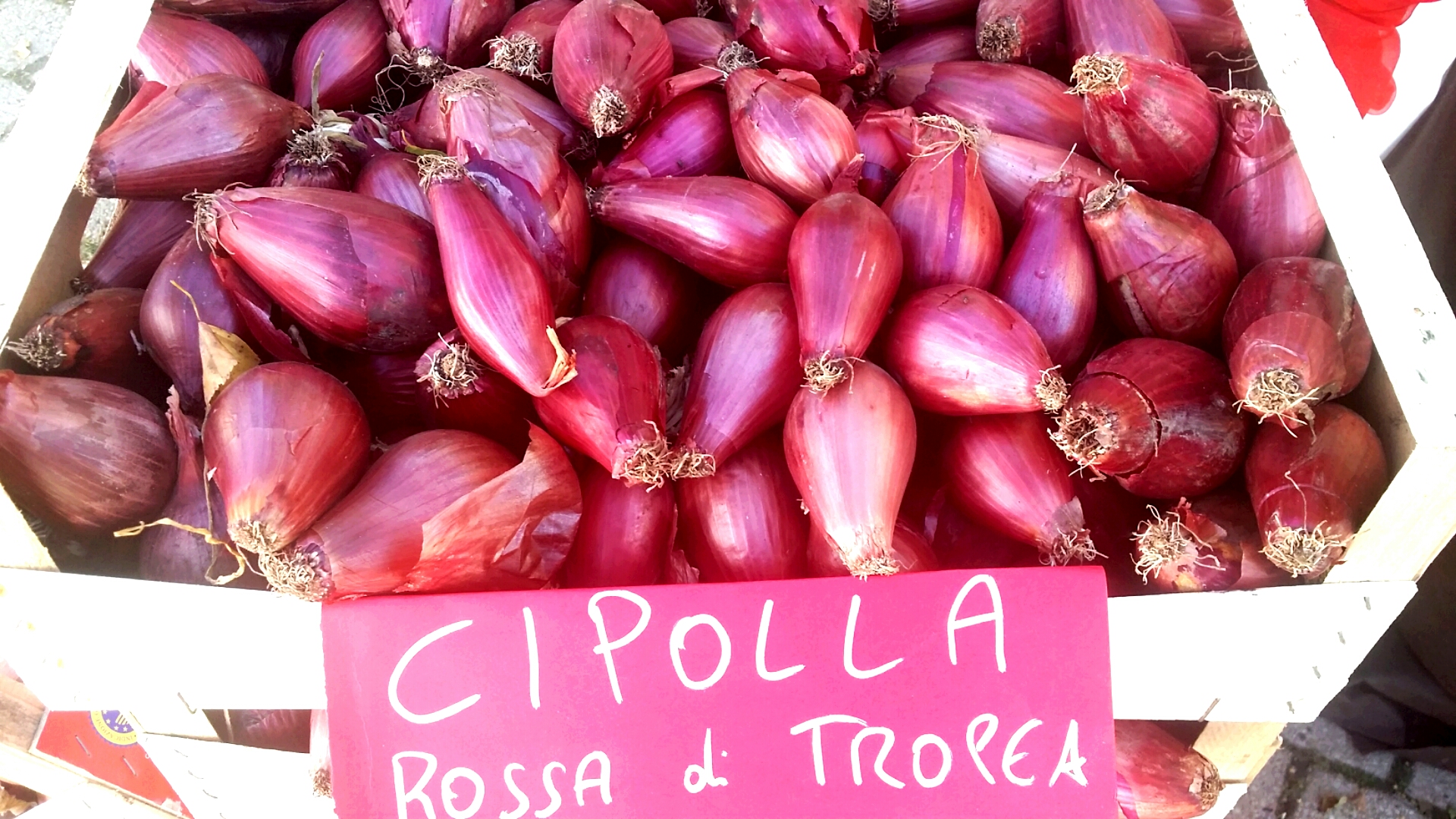 Tropea red onions - Tropea | Secret World Trip Planner