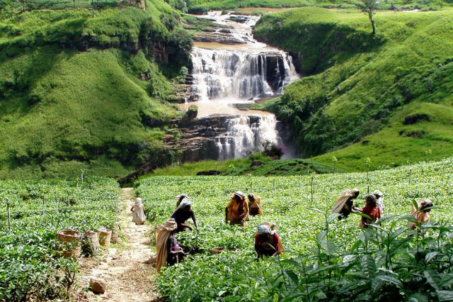 Cataratas de St. Clair: las pequeñas cataratas del Niágara - Thalawkele | Secret World Trip Planner