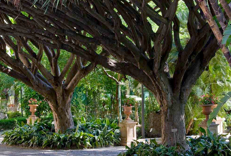 The Botanical Garden, the green lung of Catania - Catania | Secret World Trip Planner
