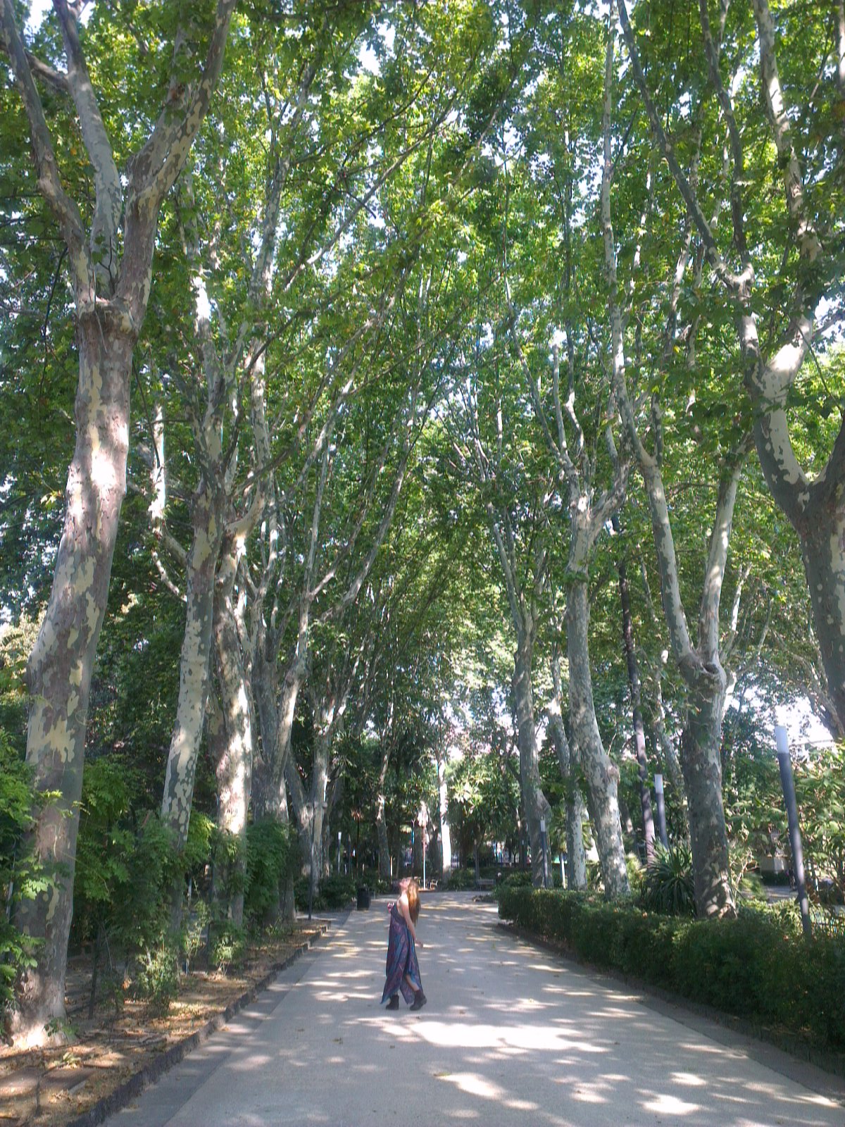 The Botanical Garden, the green lung of Catania - Catania | Secret World Trip Planner