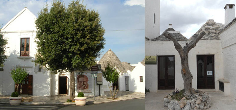 Alberobello Oil Museum - Tuili | Secret World Trip Planner