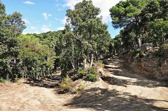 Parque del Montnegre - Dosrius | Secret World Trip Planner