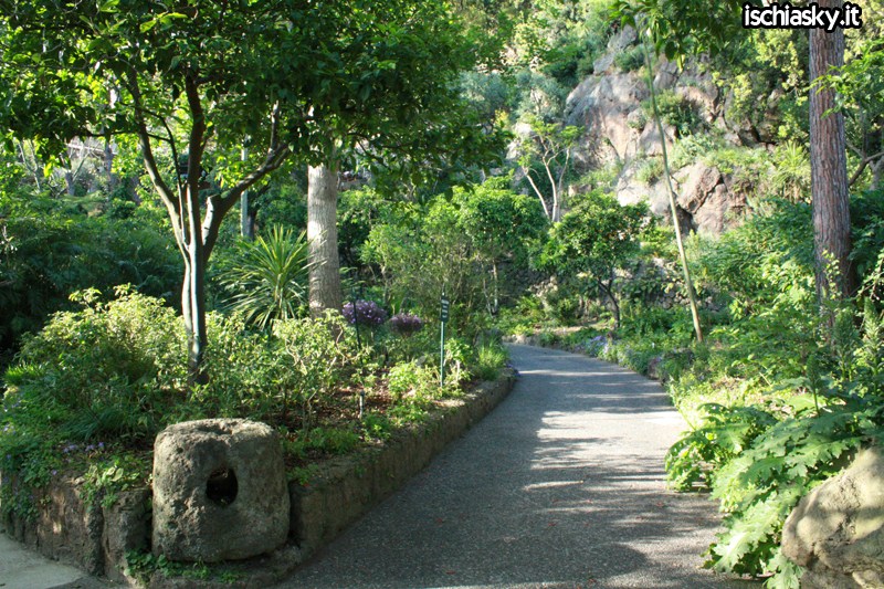 Ischia și grădinile La mortella - Forio | Secret World Trip Planner