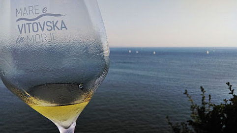 Vitovska, a fine autochthonous white wine — Trieste