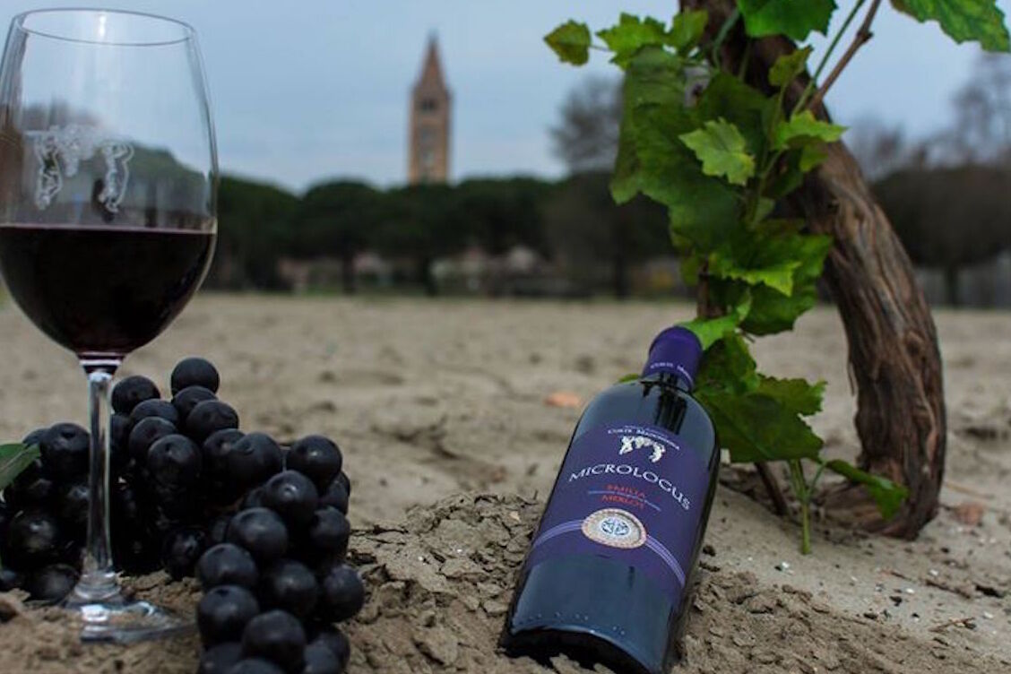 Vino Bosco Eliceo - Voghiera | Secret World Trip Planner