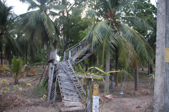 Parque Cultural del Coco - Kalkudah | Secret World Trip Planner