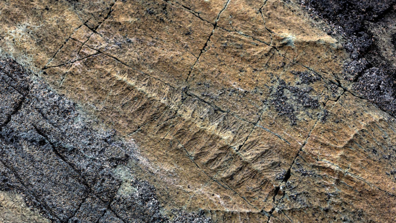 Falscher Punkt - Mistaken Point | Secret World Trip Planner