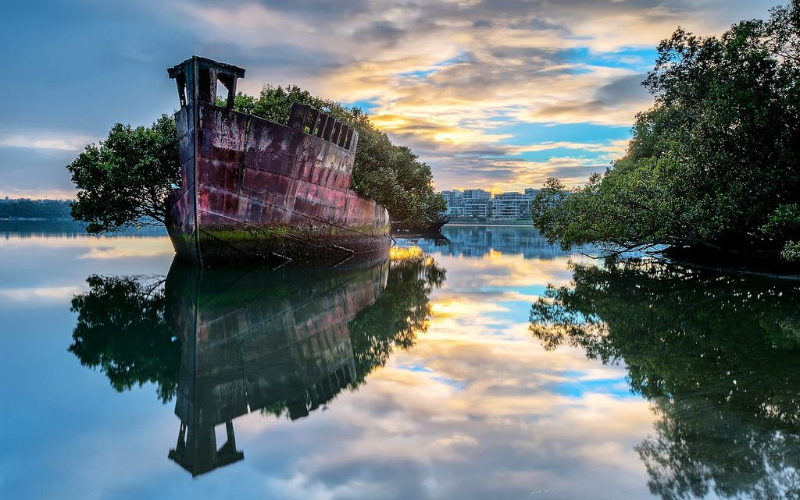 Ein Mangrovenschiff — Homebush Bay or The Flats