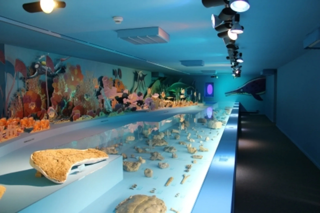 Il Museo JURASSICA — Porrentruy