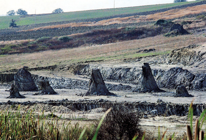Fossil Forest of Dunarobba - 46 | Secret World Trip Planner