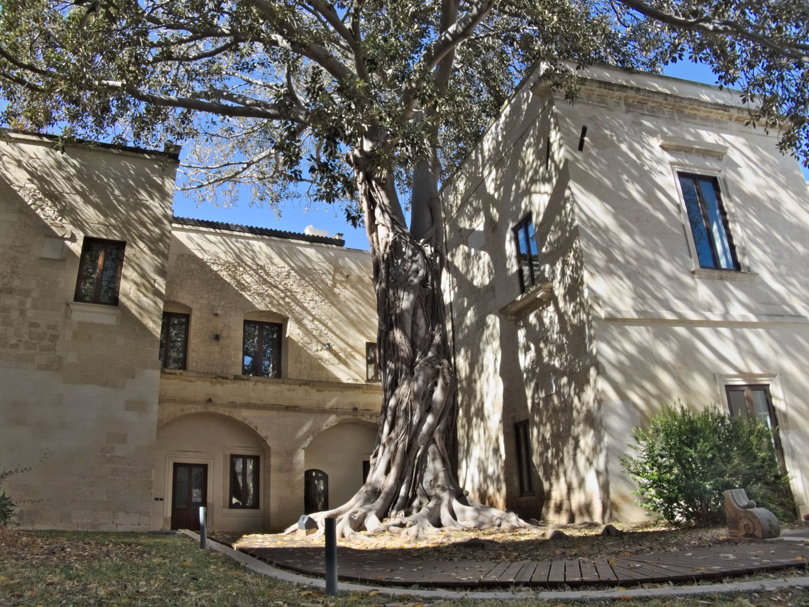 Lecce y el ficus gigante - Lecce | Secret World Trip Planner
