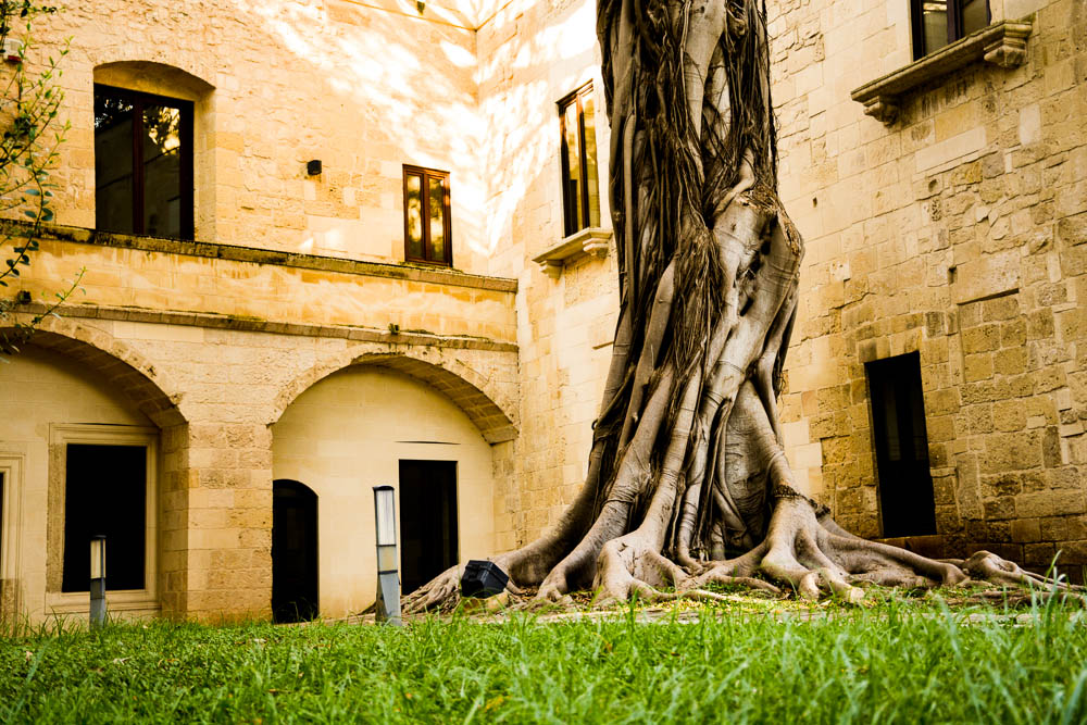 Lecce y el ficus gigante - Lecce | Secret World Trip Planner