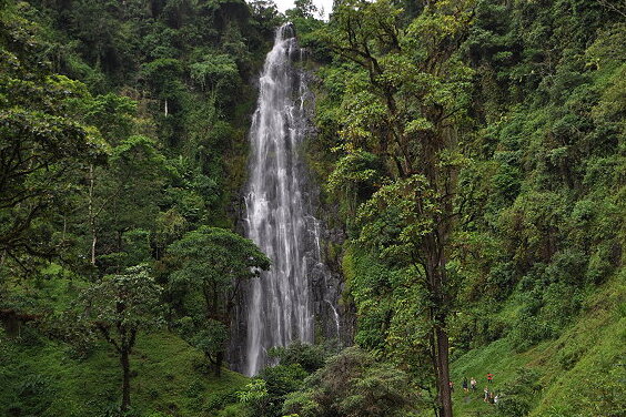 L'alta cascata Materuni sul Kilimangiaro